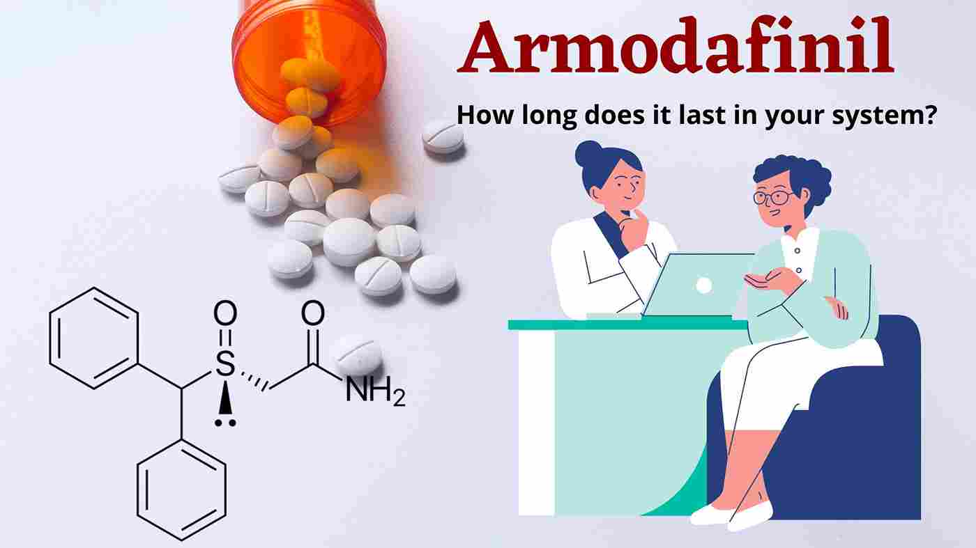 How Long does Armodafinil last in your system?